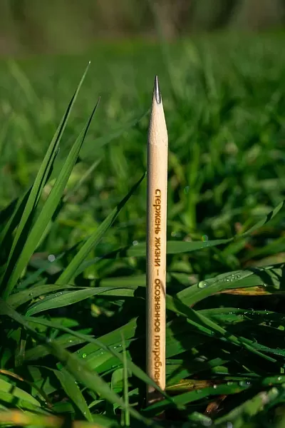 ЭКОЛОГИЧЕСКИЙ ПРОЕКТ: РАСТУЩИЙ КАРАНДАШ